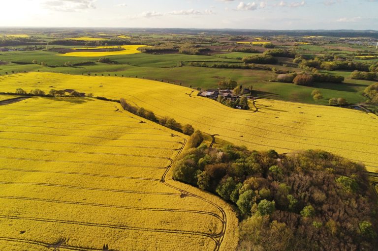 Der Wandel von der Stadt aufs Land