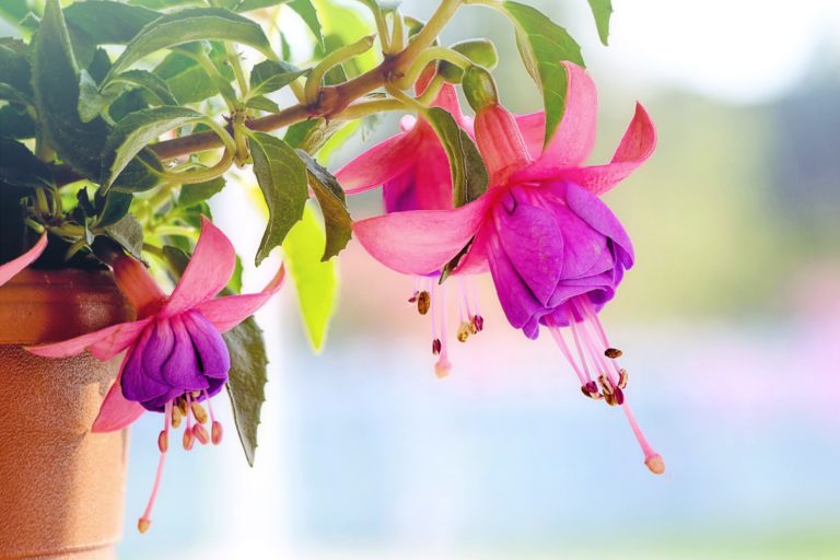 So machen Sie aus Ihrem Garten eine Wohlfühl-Oase