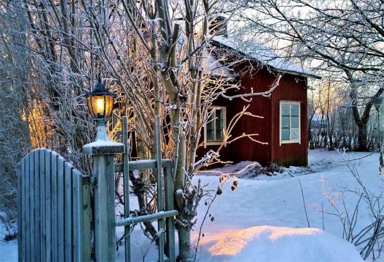 Verwandeln Sie einen Garten in einen Wintergarten