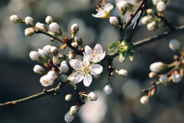 Gläser mit Ästen und Zweigen dekorieren – Viel Inspiration
