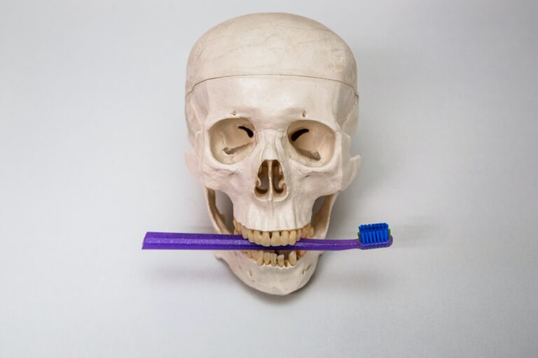 <strong>Die Faszination anatomischer Dekorationen</strong>